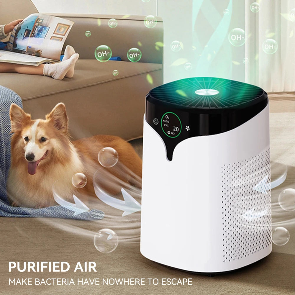 Home Air Purifier