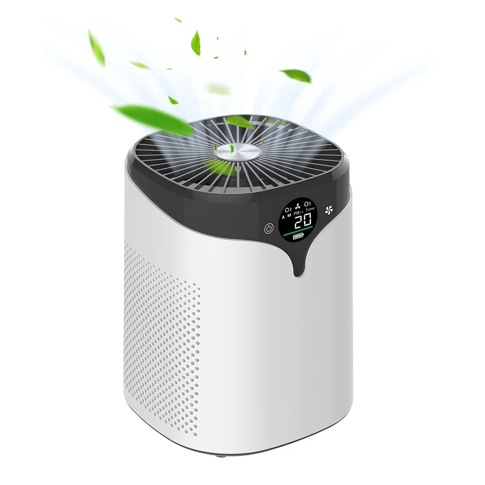 Home Air Purifier